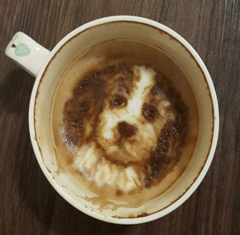 My Afternoon Latte