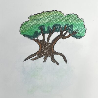 ต้นไม้ Tree