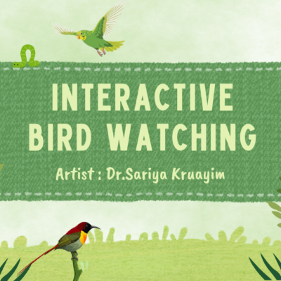 Interactive Bird Watching